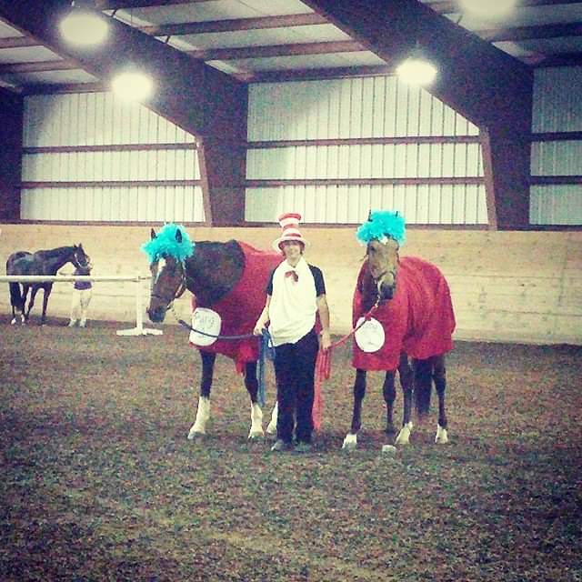 Horses Dressed Up for Halloween